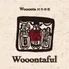 Wooonta 跨界樂團 - Wooontaful